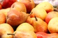 Lots of red pears. harvest Royalty Free Stock Photo