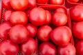 Lots of red tomatoes in plastic trays on the counter. Sale of tomatoes at the farmers\' market. Close-up. Red ripe tomatoes Royalty Free Stock Photo