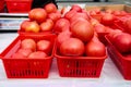 Lots of red tomatoes in plastic trays on the counter. Royalty Free Stock Photo