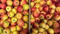 Lots of red and yellow apples for sale. Selective focus Royalty Free Stock Photo