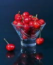 Lots of ripe fresh cherries in a glass vase on a dark background Royalty Free Stock Photo
