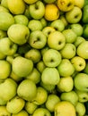 Lots of ripe fruit sweet apples for cooking as a background Royalty Free Stock Photo