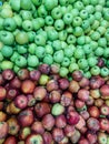 Lots of ripe fruit sweet apples for cooking as a background Royalty Free Stock Photo