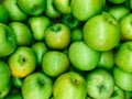 Lots of ripe fruit sweet apples for cooking as a background Royalty Free Stock Photo