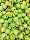 Lots of ripe green apples for cooking as a background Royalty Free Stock Photo