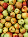 Lots of ripe green apples for cooking background Royalty Free Stock Photo