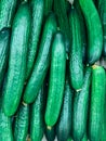 Lots of ripe green cucumbers to eat as a background Royalty Free Stock Photo