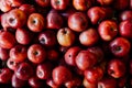 Lots of ripe red fruit apples for eating like a background Royalty Free Stock Photo