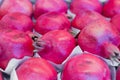 Lots of ripe red pomegranates in a box on a supermarket counter for sale Royalty Free Stock Photo