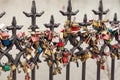 Lots of romantic wedding locks on a bridge in Prague. Toned