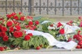 Lots of roses on the grave of the murdered prime minister Olof P Royalty Free Stock Photo