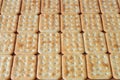 Salted Crackers as baskground Royalty Free Stock Photo