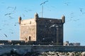 Seagulls Flying in front of Sqala du Port d`Essaouira in Essaouira Morocco Royalty Free Stock Photo