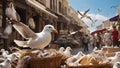 Lots of seagulls on the street of a noisy city Royalty Free Stock Photo
