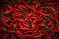 Lots of small red peppers. Food photography,
