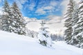 Lots of snow in clearing in the forest Royalty Free Stock Photo