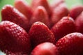 Lots of strawberry berries in close-up Royalty Free Stock Photo