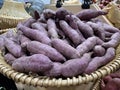 Lots of sweet potatoes Royalty Free Stock Photo