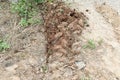 lots tire track on dirty soil ground for abstract background