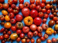 lots of tomatoes on blue and yellow background prapor ukraine