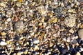 Lots of various pebbles under water