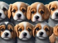 Lots of Very Cute Puppies