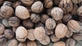 Lots of walnuts close up. Unpeeled walnuts with shells. A bunch of nuts. background. Vegetarian healthy diet