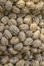 Lots of walnuts in a net bag at a market.