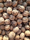 Lots of walnuts in one frame