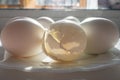 Lots of white eggs and eggshells in close -up. The concept of birth and new life. The chick has hatched , a new generation. The Royalty Free Stock Photo