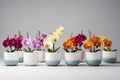 Lots Of White Pots With Blooming Orchids In Different Colors On White Background. Generative AI