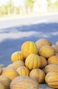 Lots of yellow melons Royalty Free Stock Photo