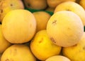 Lots of yellow melons. Royalty Free Stock Photo