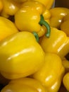 Lots of yellow sweet big bell peppers Royalty Free Stock Photo