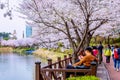 Lotte World amusement park and cherry blossom of Spring, a major tourist attraction in Seoul, South Korea. Royalty Free Stock Photo