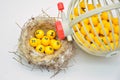 Lottery balls in a nest
