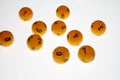 Lotto balls with number on white background