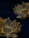 Golden lotus line art on dark blue background. Wallpaper design with lotus. Royalty Free Stock Photo