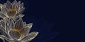 Golden lotus line art on dark blue background. Wallpaper design with lotus. Royalty Free Stock Photo