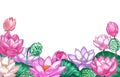 Lotus background. Hand drawn floral banner with pink lotus flower and leaves design for yoga center, cosmetic, greeting