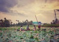 Lotus beautiful nature lotus garden of kumarakom, kerala