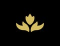 Lotus beauty care logo design