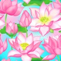 Lotus buds and flowers seamless fabric print., Water lilly nelumbo aquatic plant botanical design. Royalty Free Stock Photo