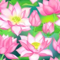 Lotus buds and flowers seamless vector pattern., Water lilly nelumbo aquatic plant illustration. Royalty Free Stock Photo