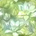 Lotus buds and flowers seamless wallpaper., Water lilly nelumbo aquatic plant packaging design. Royalty Free Stock Photo