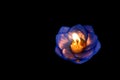 Lotus candle isolated on black background, lamp, lantern, light, Floating candles to be flower lotus burned on surface float