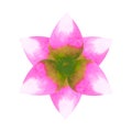 Lotus chakra mandala logo symbol concept pink green flower floral leaf watercolor painting icon illustration design sign Royalty Free Stock Photo