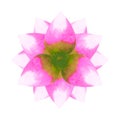 Lotus chakra mandala logo symbol concept pink green flower floral leaf watercolor painting icon illustration design sign Royalty Free Stock Photo