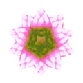 Lotus chakra mandala logo symbol concept pink green flower floral leaf watercolor painting icon illustration design sign Royalty Free Stock Photo