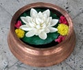 Lotus in Copper Vase